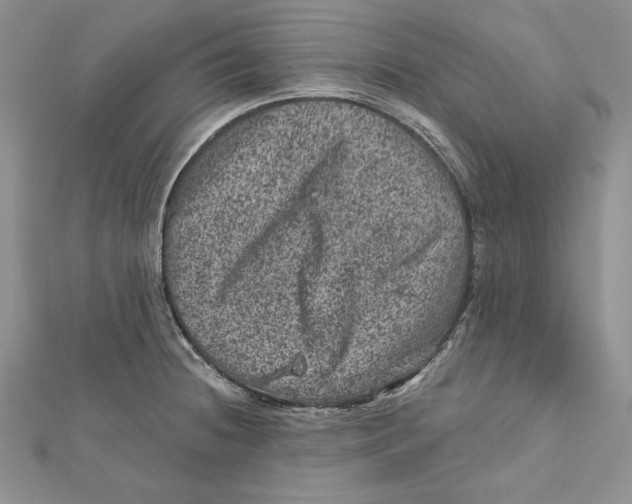 X0000111871236200908201209