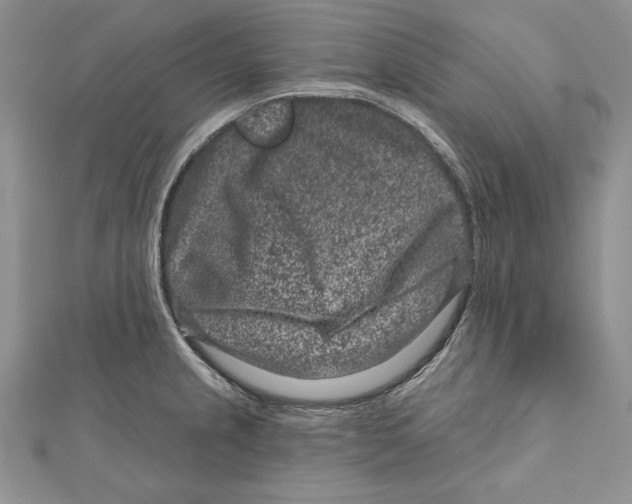 X0000111871237200908201210