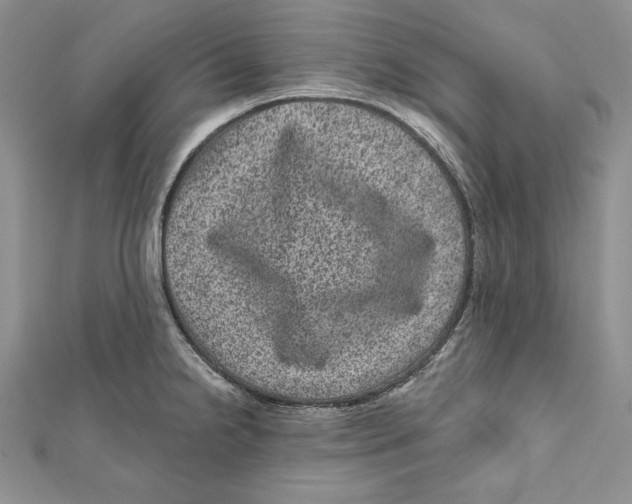 X0000111871238200908201210