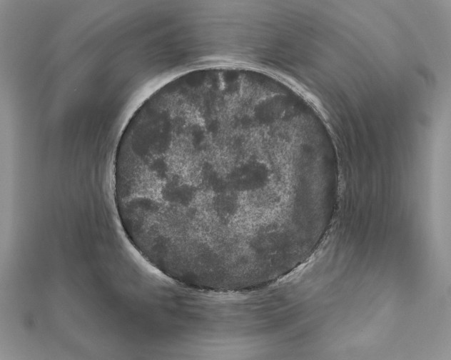 X0000111871239200908201210