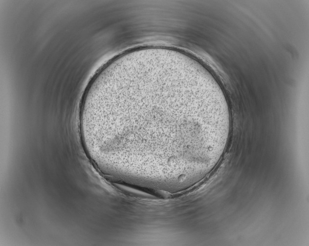 X0000111871240200908201210