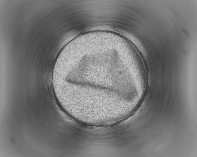 X0000111871241200908201210