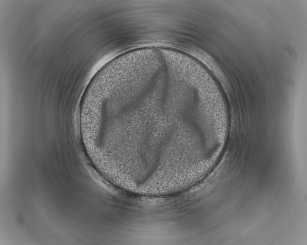 X0000111871242200908201210