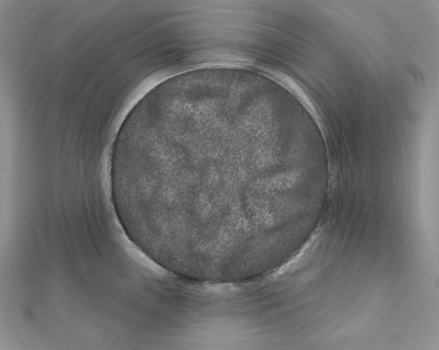 X0000111871243200908201210