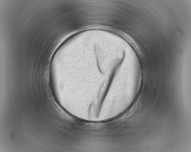 X0000111871244200908201210