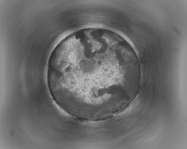 X0000111871245200908201210