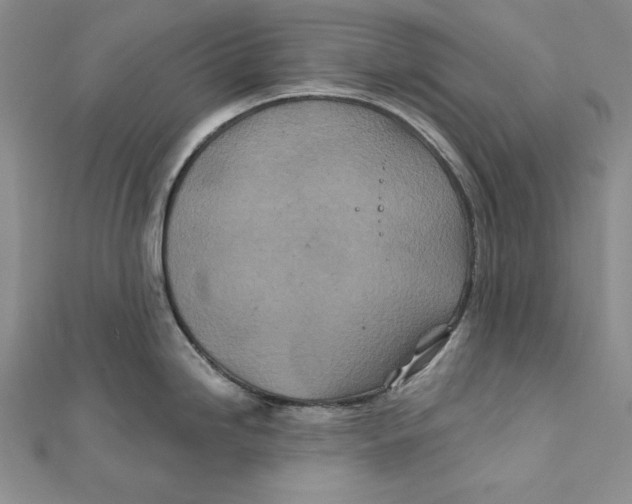 X0000111871246200908201210