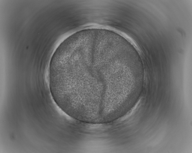 X0000111871247200908201210