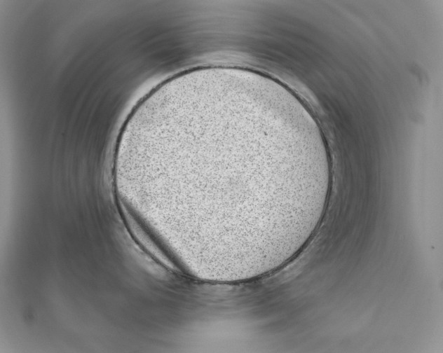 X0000111871248200908201210