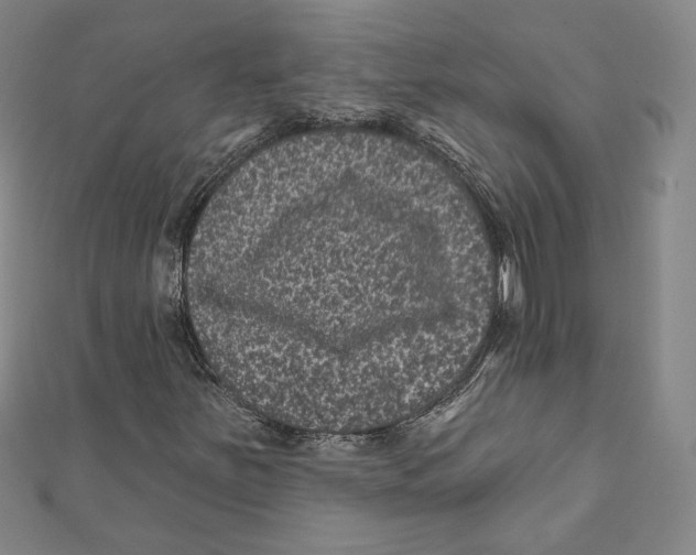 X0000111871251200908201209