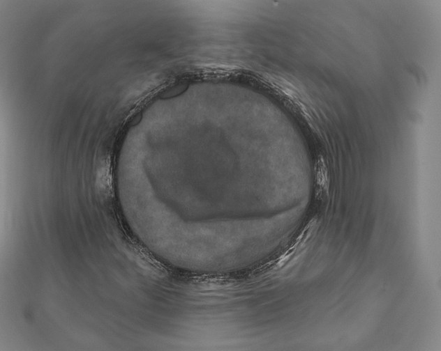 X0000111871252200908201209