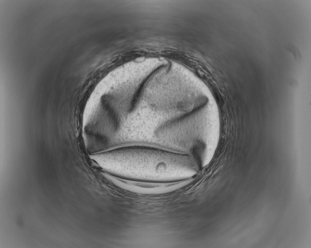 X0000111871253200908201209