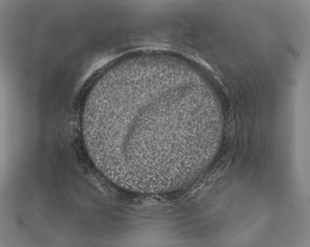 X0000111871255200908201209