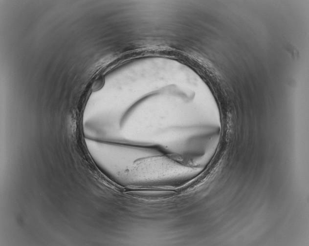 X0000111871257200908201209