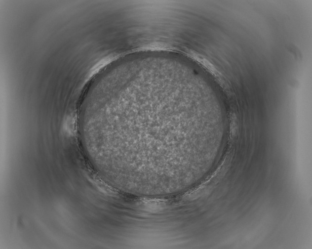 X0000111871258200908201209