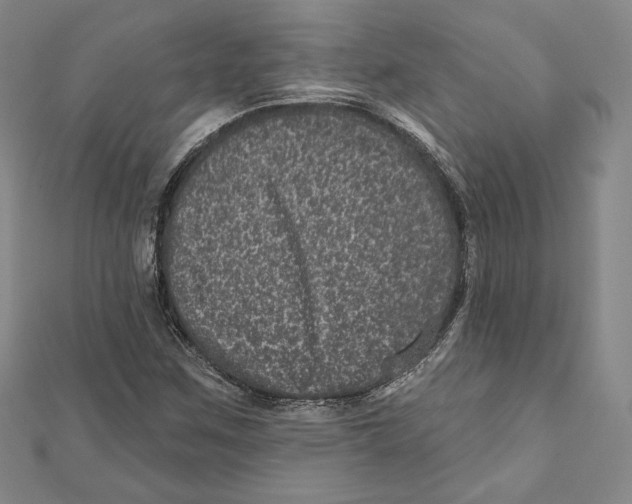 X0000111871259200908201209