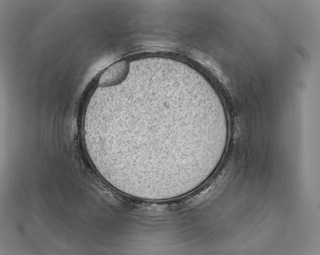 X0000111871261200908201209