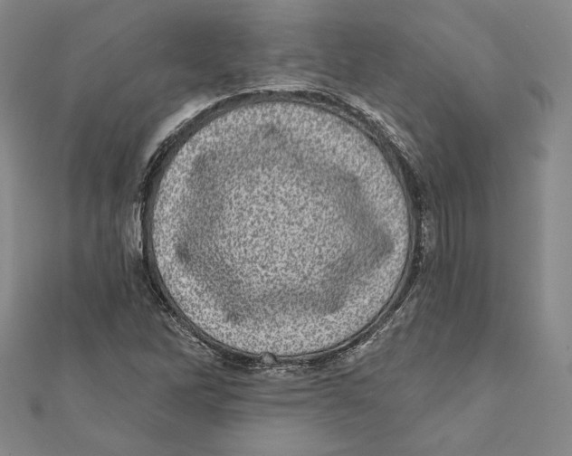 X0000111871262200908201209