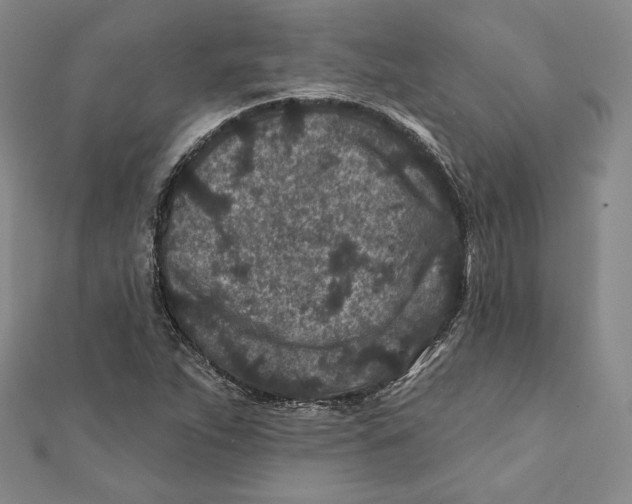 X0000111871263200908201209