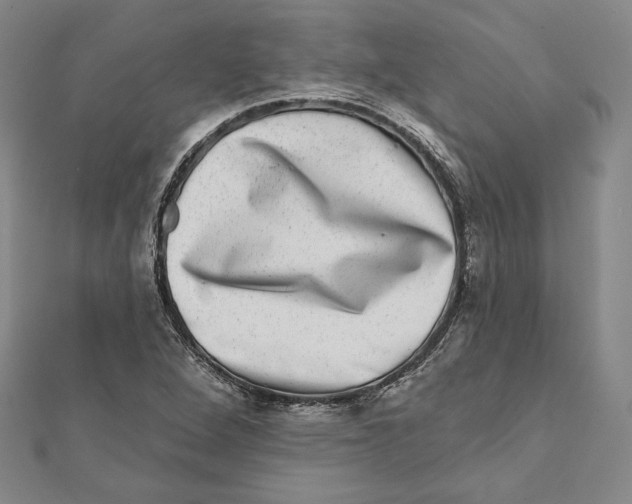 X0000111871264200908201209