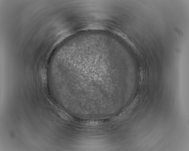 X0000111871266200908201209