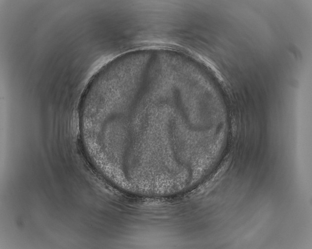 X0000111871267200908201209