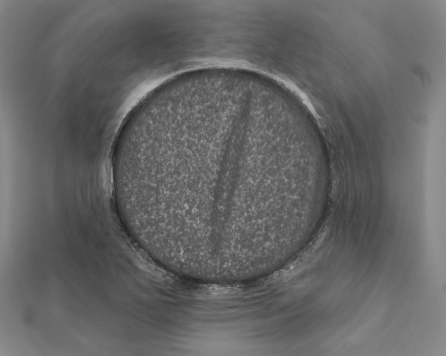 X0000111871271200908201209