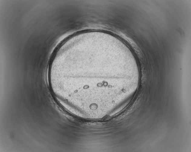 X0000111871272200908201209