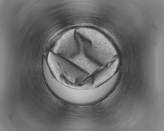 X0000111871273200908201209