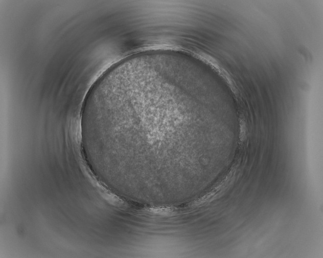 X0000111871274200908201209