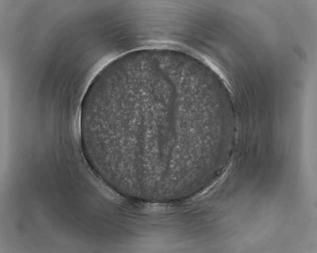 X0000111871275200908201209