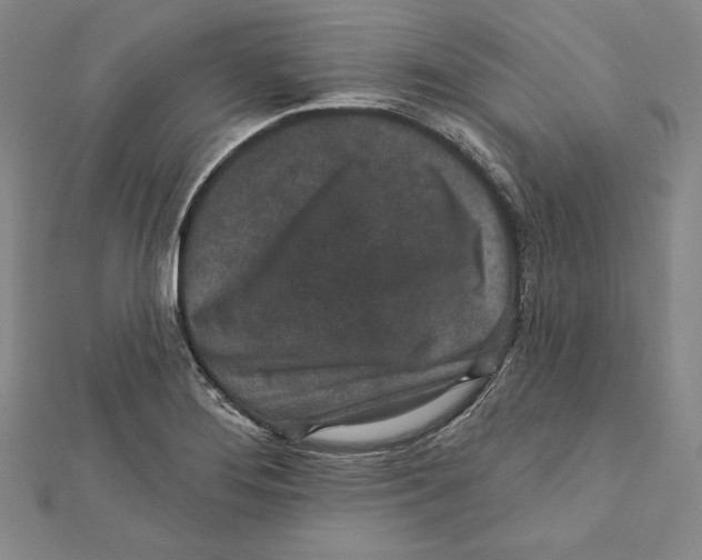 X0000111871276200908201209