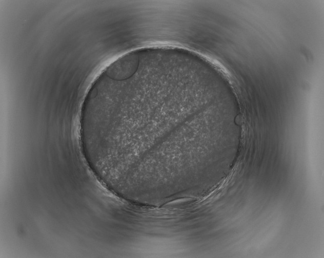 X0000111871279200908201209