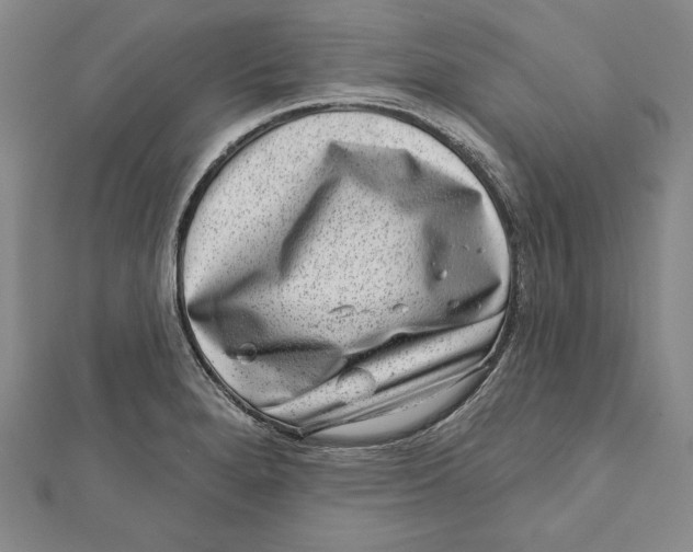 X0000111871280200908201209