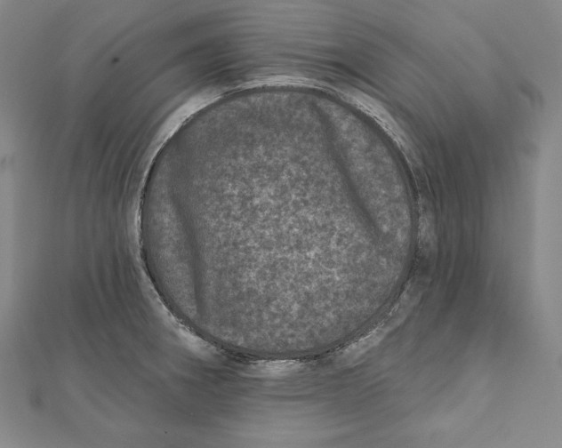 X0000111871282200908201209