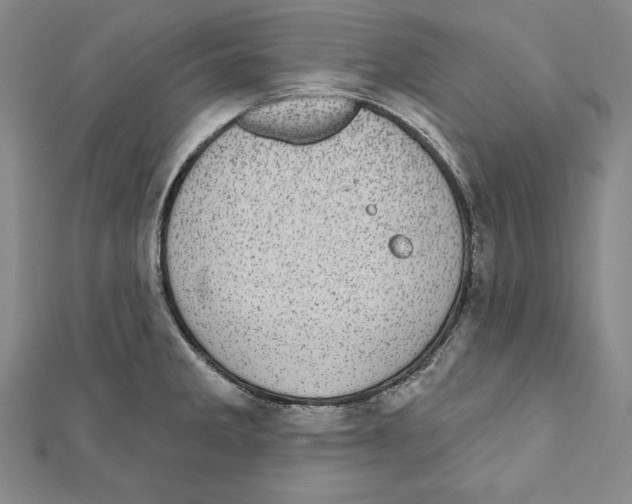 X0000111871285200908201209