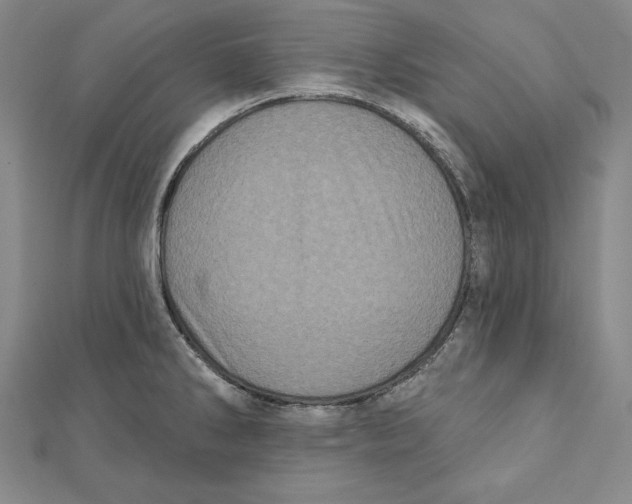 X0000111871286200908201209