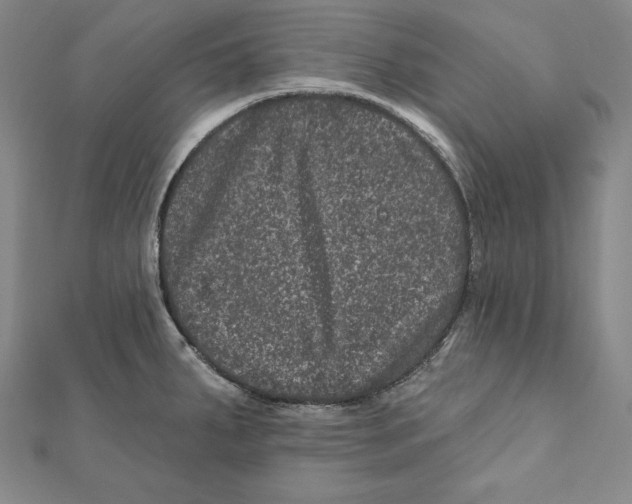 X0000111871287200908201209