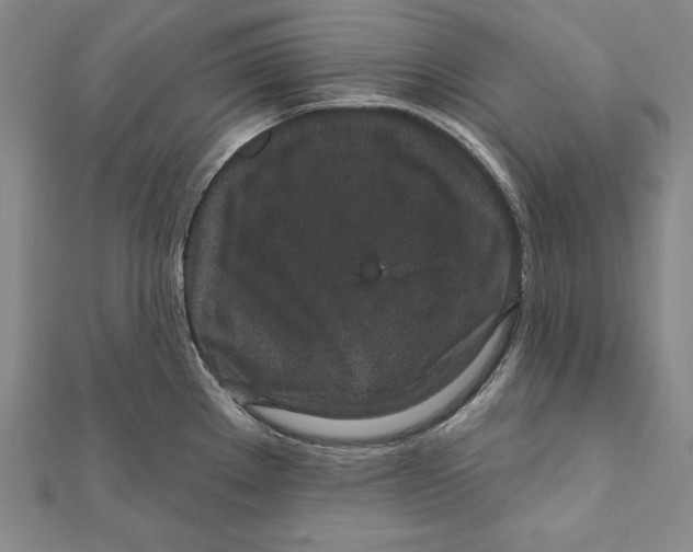 X0000111871289200908201209