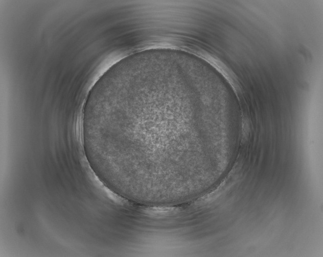 X0000111871290200908201208