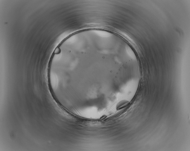 X0000111871291200908201208