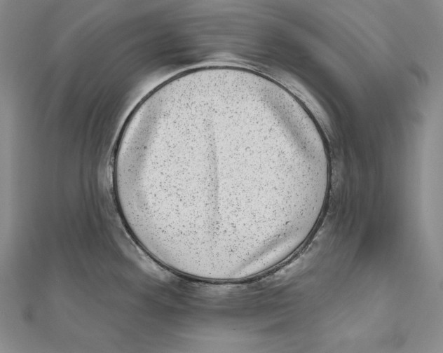 X0000111871292200908201208