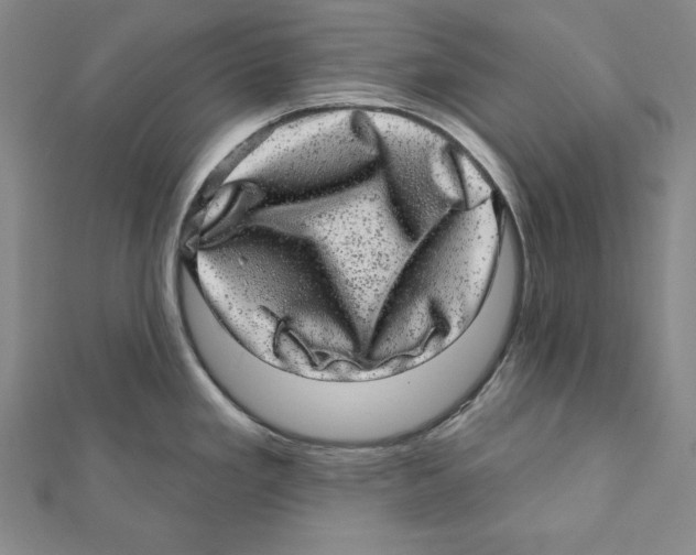 X0000111871293200908201208