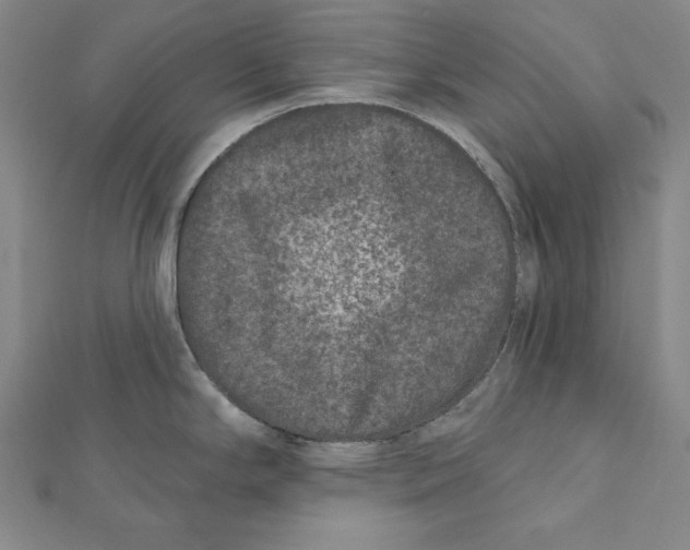 X0000111871294200908201208