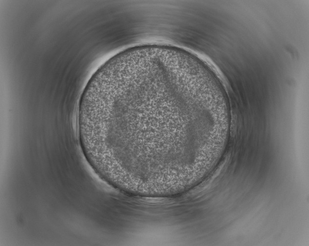 X0000111871295200908201208