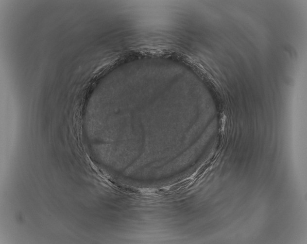 X0000111871297200908201208