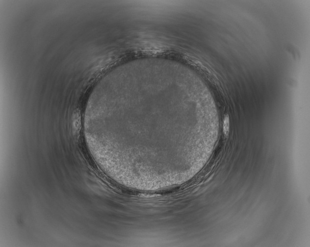 X0000111871299200908201208