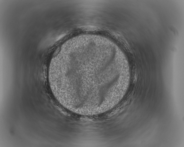 X0000111871301200908201208