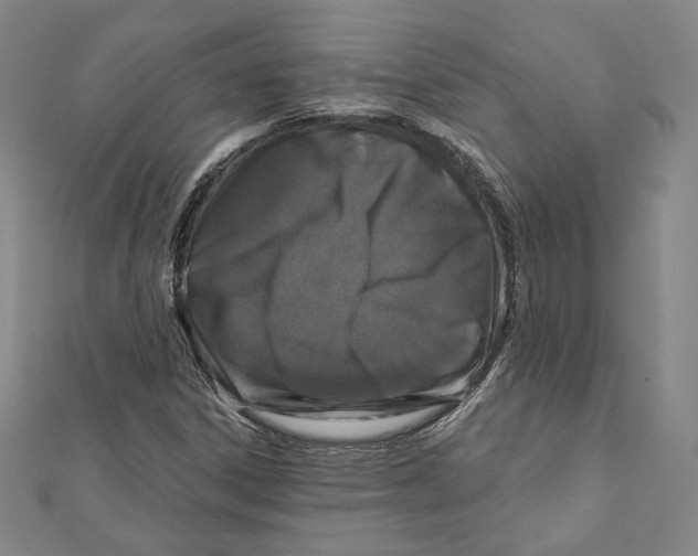 X0000111871306200908201208