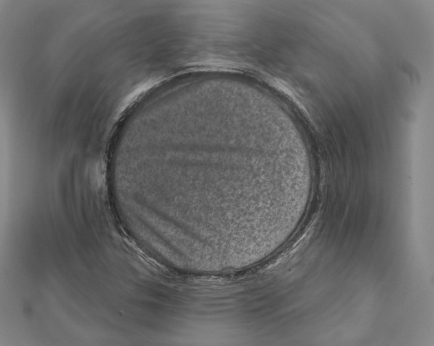 X0000111871307200908201208